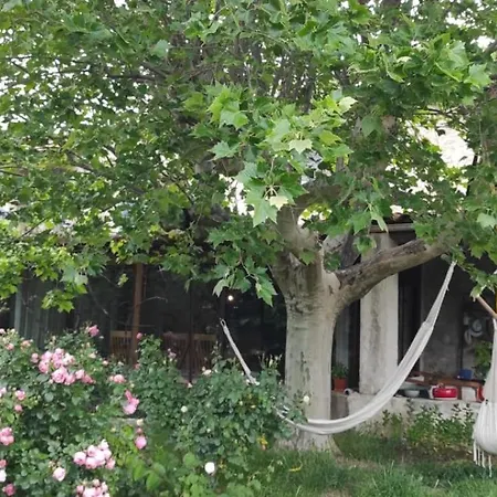 Guest house Lou Boulugi Aix-en-Provence
